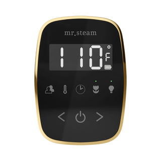 MrSteam TempoFlex Wireless Steam Shower Control with AromaSteam Steamhead