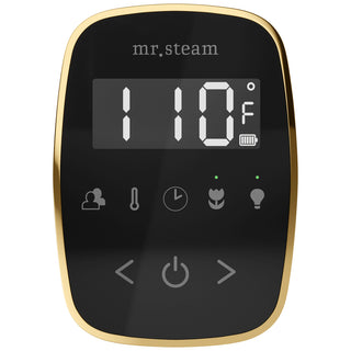 MrSteam TempoFlex Wireless Steam Shower Control with AromaSteam Steamhead