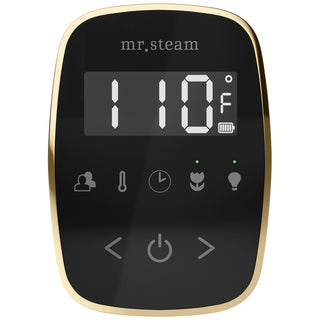 MrSteam TempoFlex Wireless Steam Shower Control with AromaSteam Steamhead