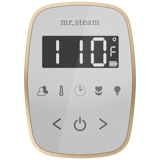 MrSteam TempoFlex Wireless Steam Shower Control with AromaSteam Steamhead