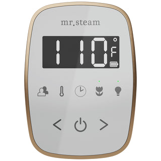 MrSteam TempoFlex Wireless Steam Shower Control with AromaSteam Steamhead