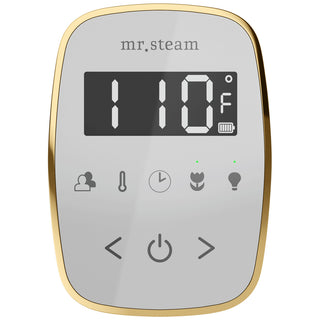 MrSteam TempoFlex Wireless Steam Shower Control with AromaSteam Steamhead