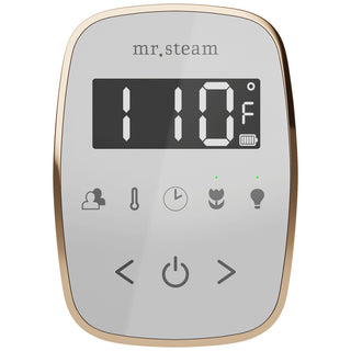 MrSteam TempoFlex Wireless Steam Shower Control with AromaSteam Steamhead