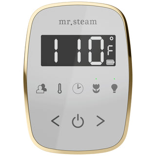 MrSteam TempoFlex Wireless Steam Shower Control with AromaSteam Steamhead