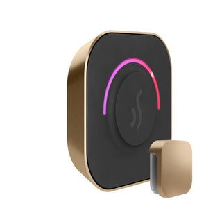 MrSteam TempoTouch Steam Shower Control and Steamhead - Brushed Bronze