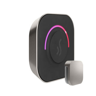 MrSteam TempoTouch Steam Shower Control and Steamhead - Brushed Nickel