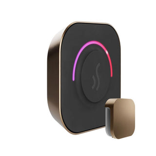 MrSteam TempoTouch Steam Shower Control and Steamhead - Nouveau Bronze