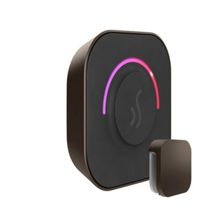 MrSteam TempoTouch Steam Shower Control and Steamhead - Oil-Rubbed Bronze
