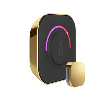 MrSteam TempoTouch Steam Shower Control and Steamhead - Polished Brass