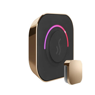 MrSteam TempoTouch Steam Shower Control and Steamhead - Polished Gold