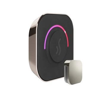 MrSteam TempoTouch Steam Shower Control and Steamhead - Polished Nickel