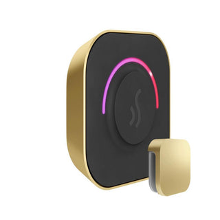 MrSteam TempoTouch Steam Shower Control and Steamhead - Satin Brass