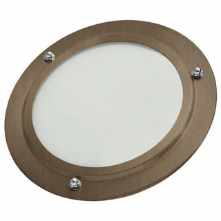 ThermaSol In-Shower Light