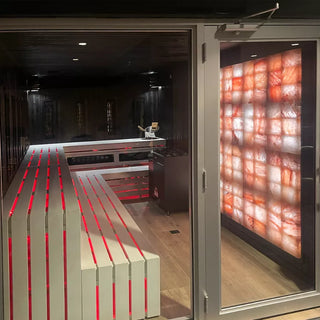 Himalayan Salt Wall Panel | Scandia