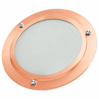 ThermaSol In-Shower Light